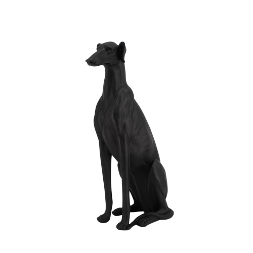 Greyhound Sitting